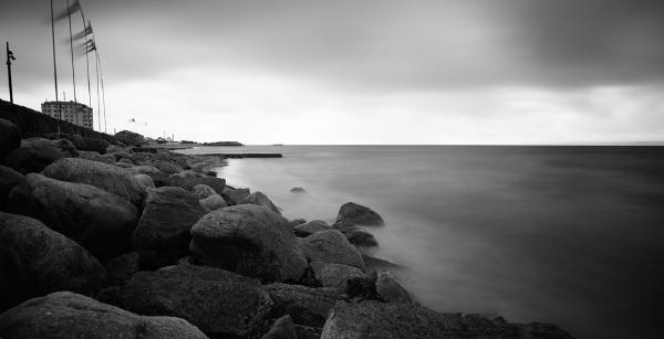 SONY DSC