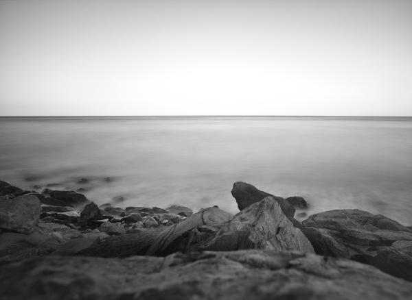 SONY DSC