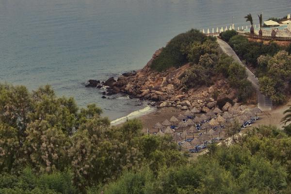 SONY DSC