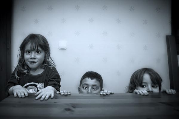 SONY DSC